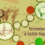 Teremhet-e a szőlő fügét? társasjáték - Miklya Zsolt, Votin Dóra