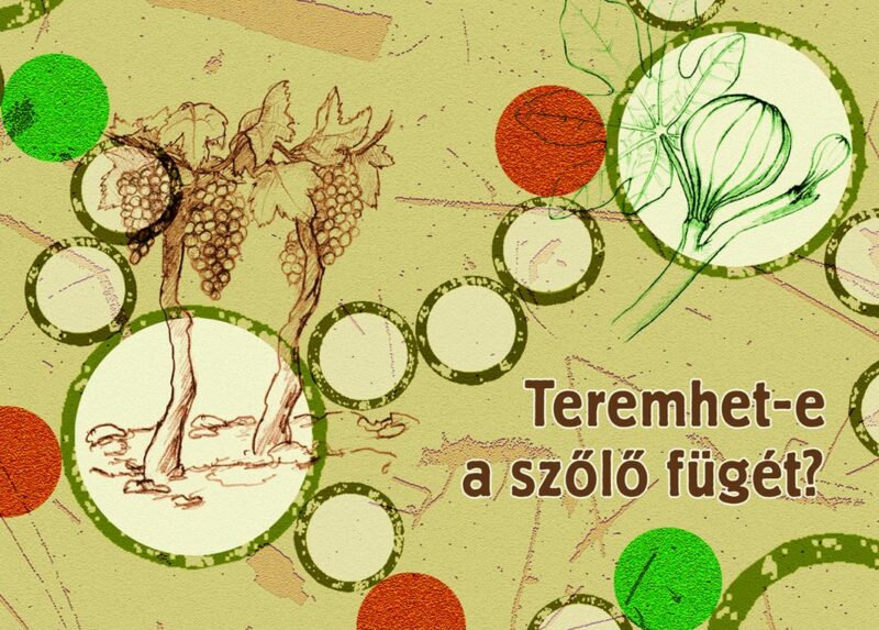 Teremhet-e a szőlő fügét? társasjáték - Miklya Zsolt, Votin Dóra