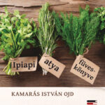 Ipiapi atya füveskönyve - Kamarás István OJD