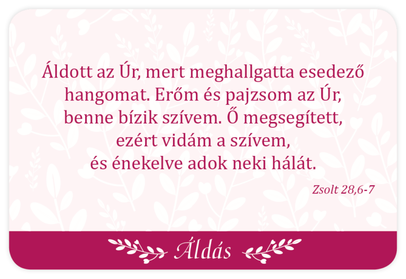 Áldjon meg téged az Úr! (kártyacsomag) - Image 5