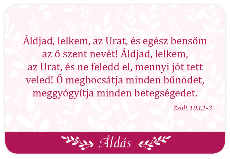 Áldjon meg téged az Úr! (kártyacsomag) - Image 6
